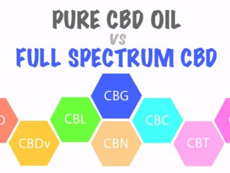 Pure CBD Oil VS Full Spectrum CBD